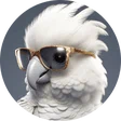 tazzy_bets